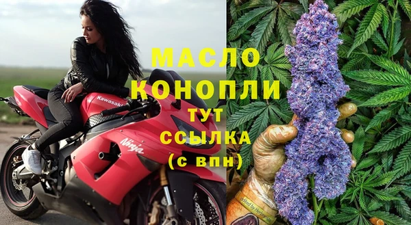 гидра Балахна