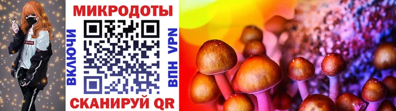 Псилоцибиновые грибы Psilocybine cubensis Вятские Поляны