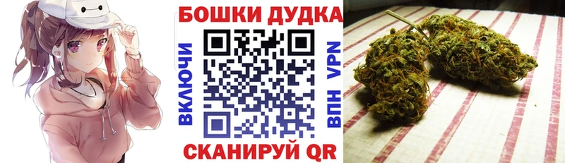 Каннабис планчик Вятские Поляны